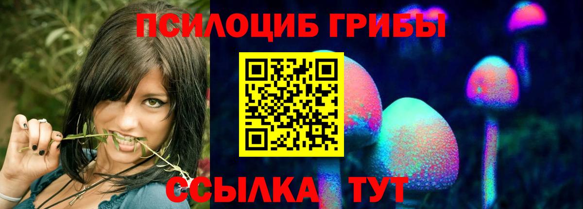 Псилоцибиновые грибы прущие грибы  Псилоцибиновые грибы Magic Shrooms  купить наркоту  Вход с VPN  Нурлат 