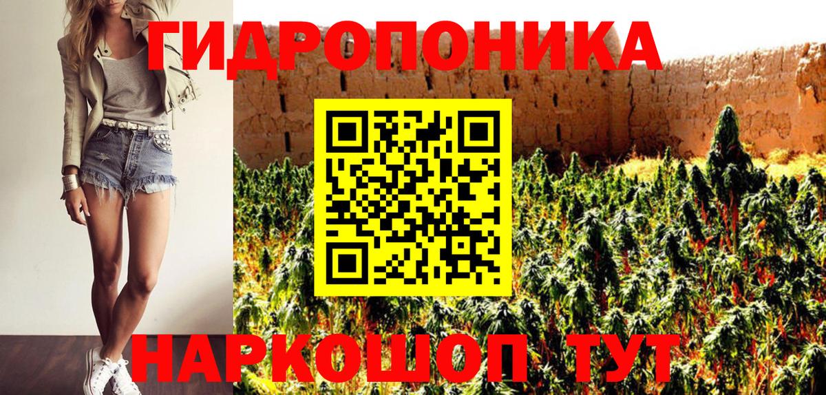 Конопля индика Нурлат